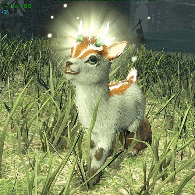 What does shinehorn eat in Ark Survival Evolved?