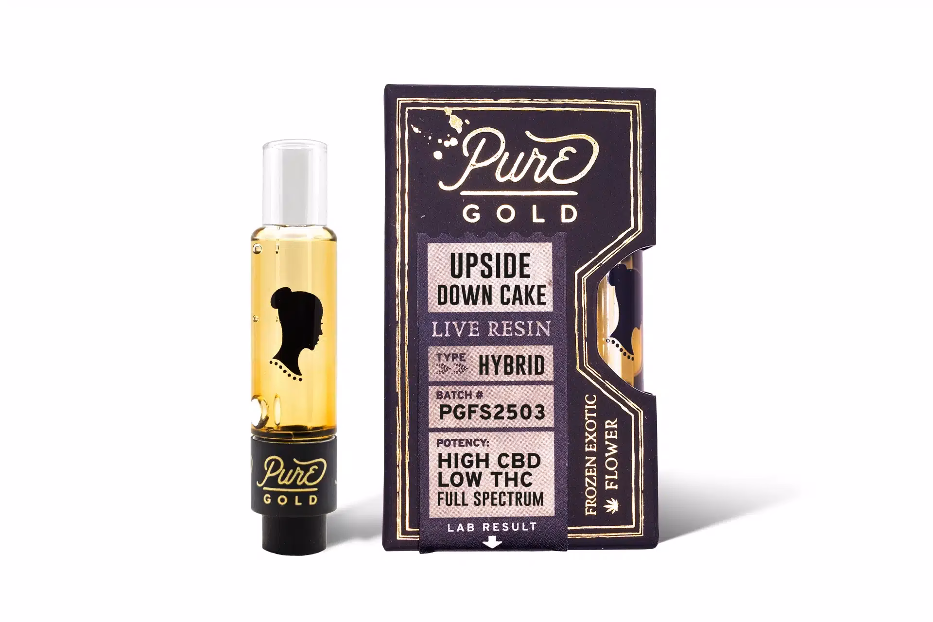 What is gold pine resin?