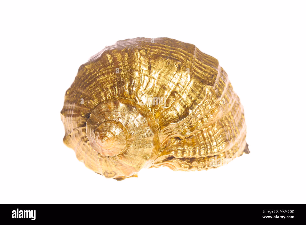How to maintain a goldshell miner?