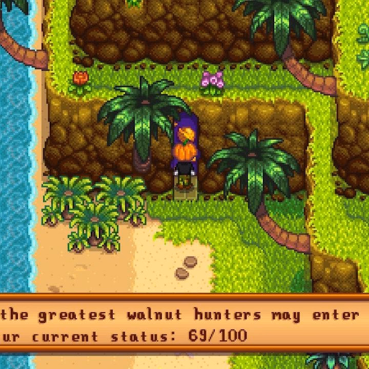 How do you get Qi gems if you collect Golden walnuts?