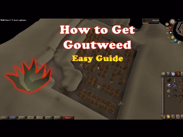 How do you trade goutweed?