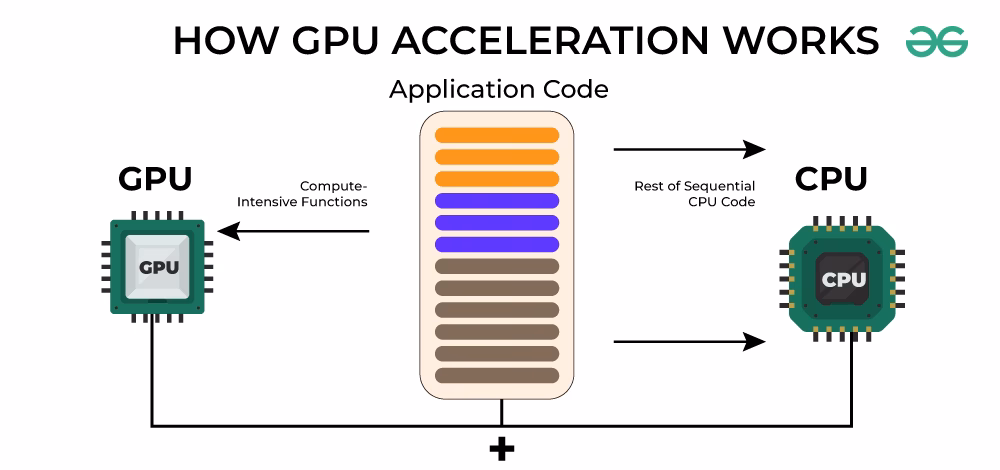 How do I know if my GPU supports video codecs?