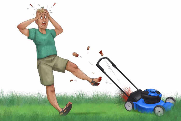 What is a tuft of grass called?