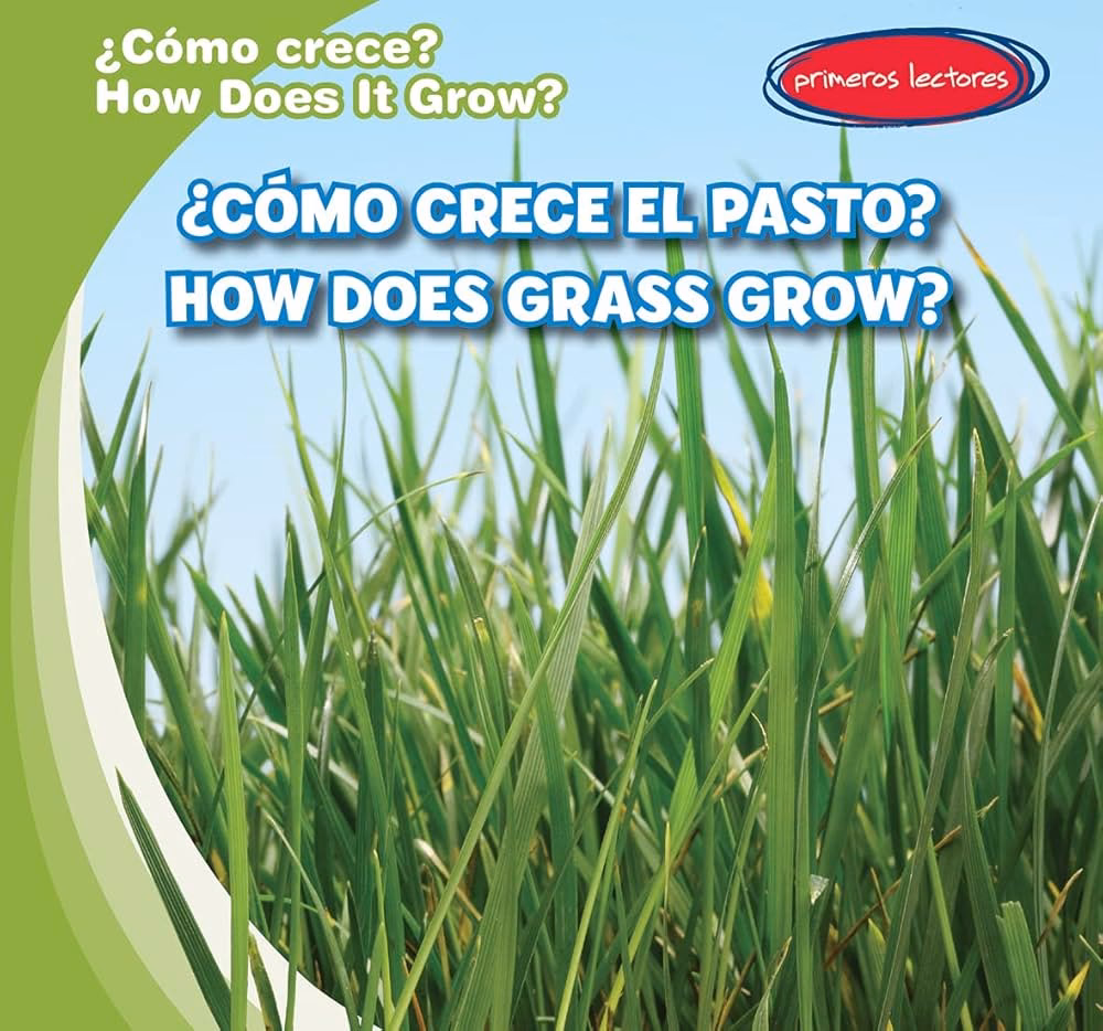 What is a noun for grass?