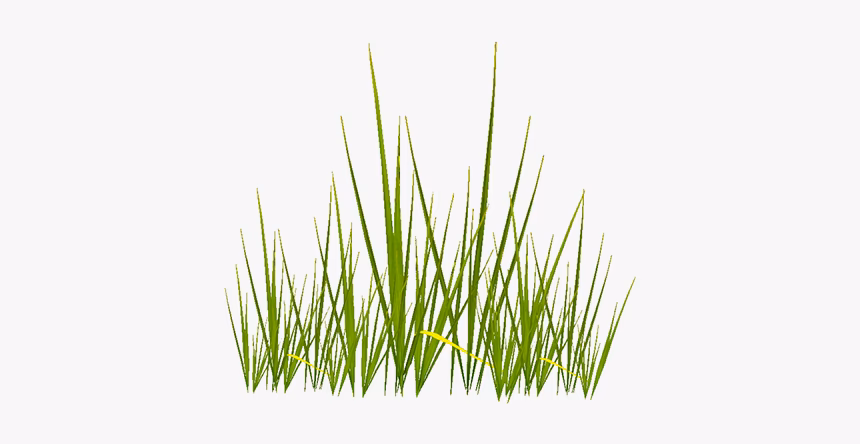 How does alpha grass work?
