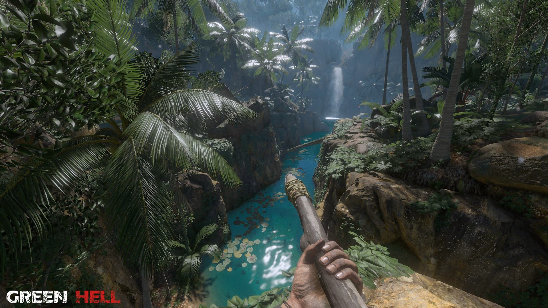 ¿Dónde se puede jugar Green Hell?