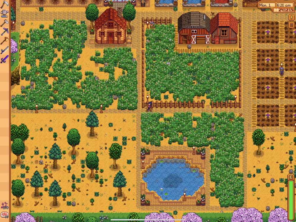 What are the different types of grass In Stardew Valley?