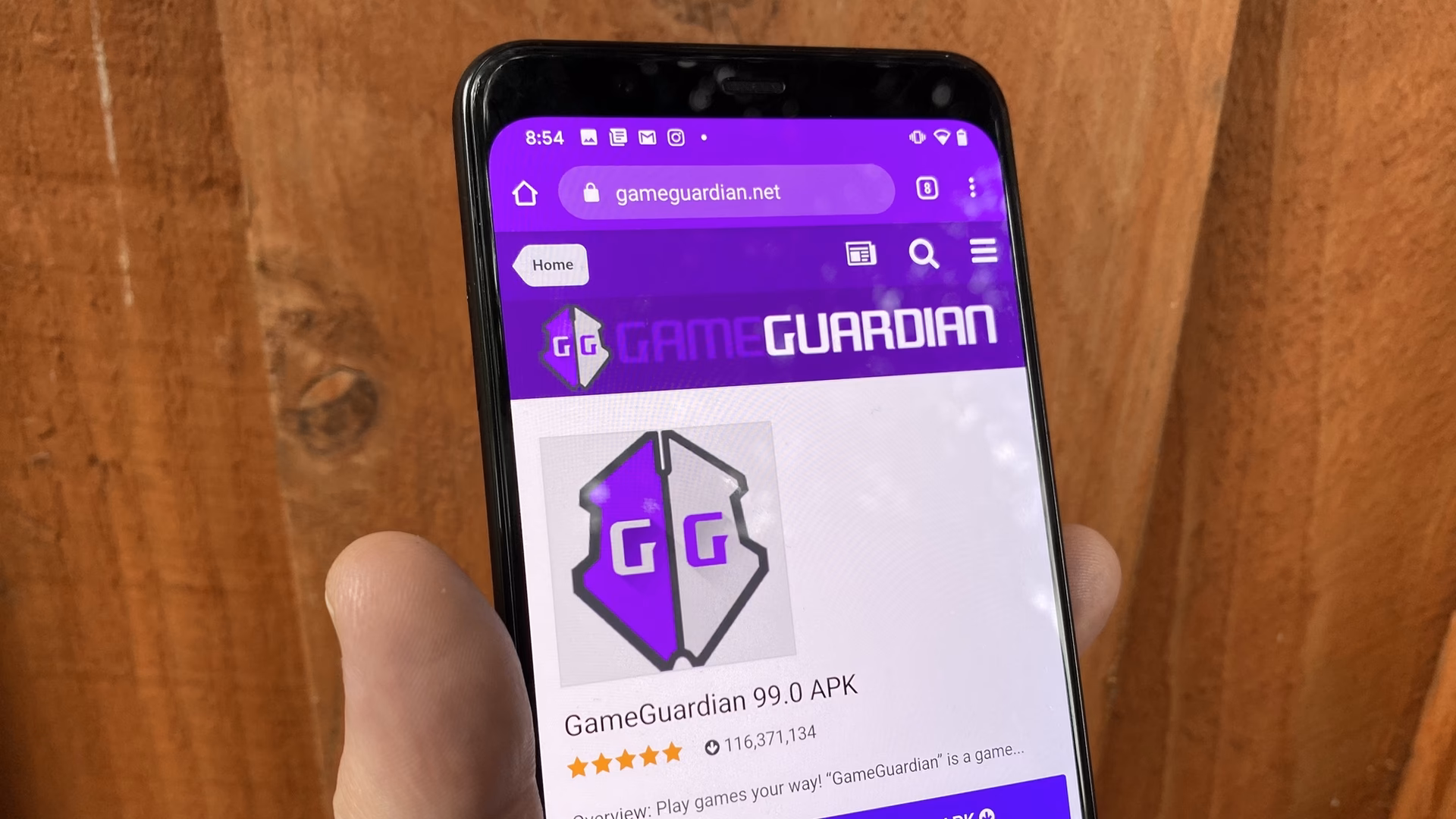 What is the Destiny Guardian Report?
