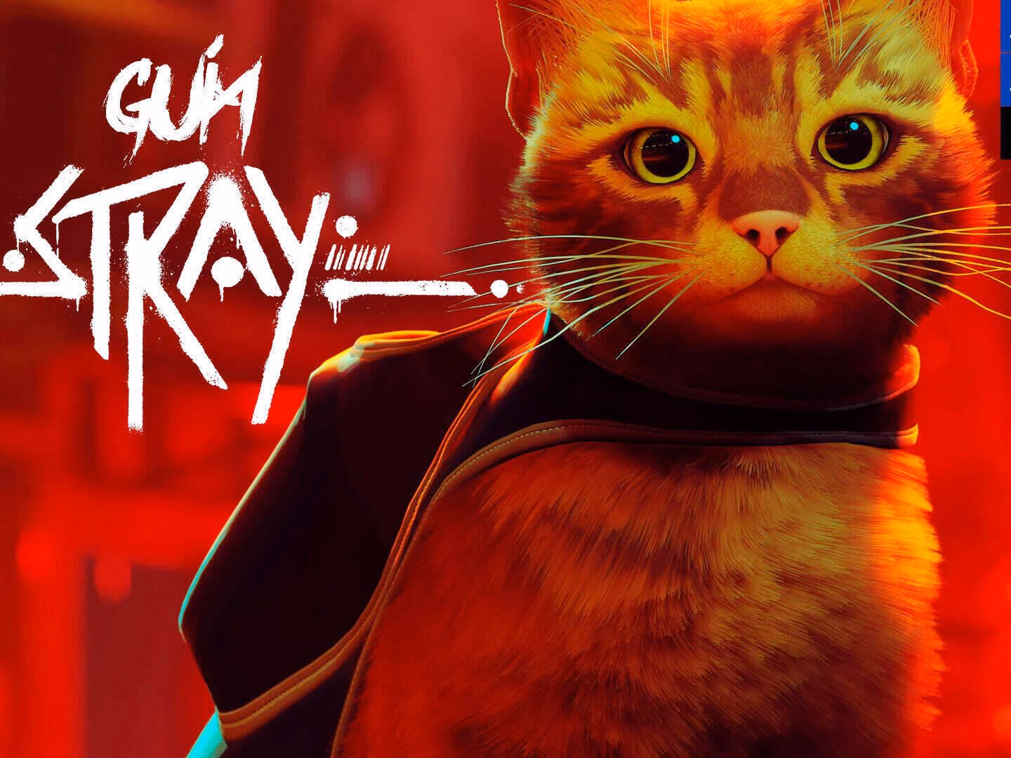 ¿Qué ofrece la guía completa de Stray?