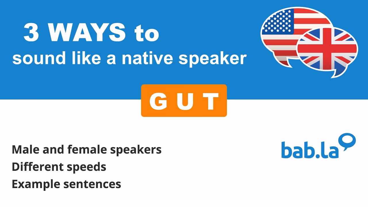 ¿Cuál es el significado de 'GUT'?