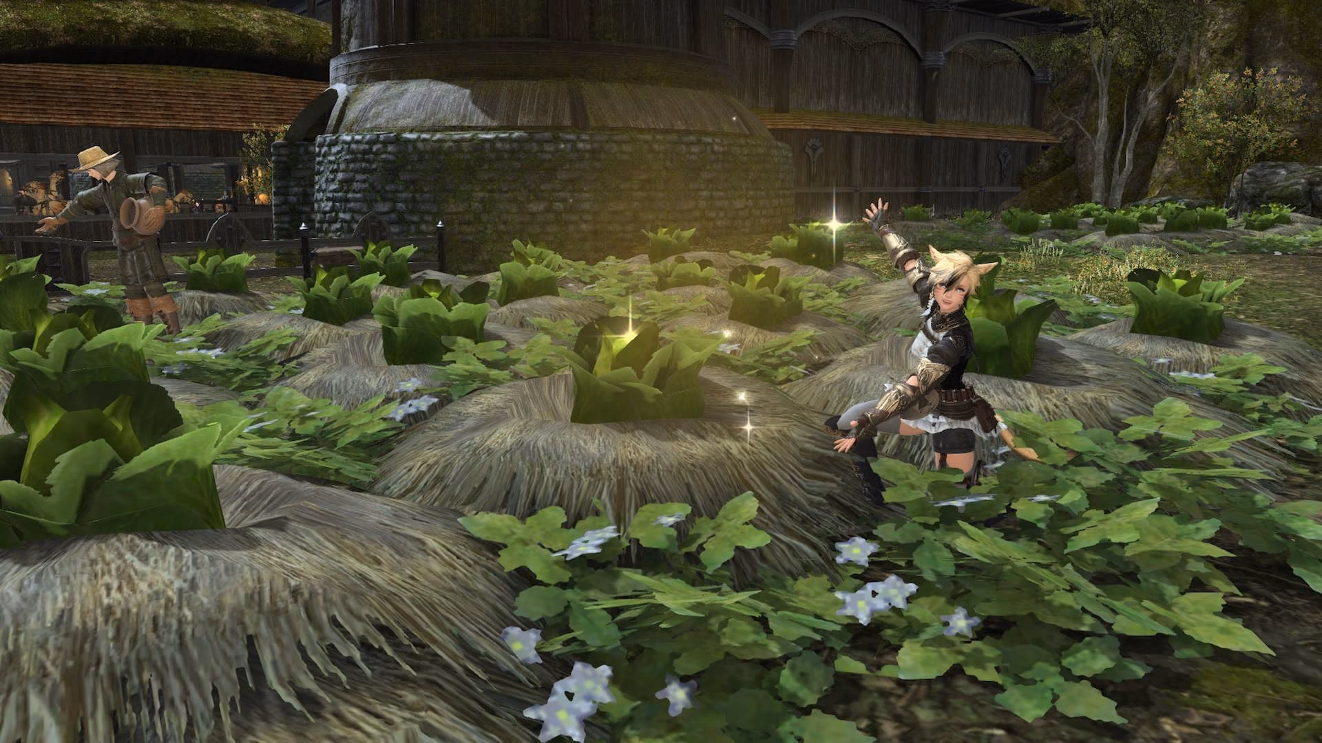 How do you get Gysahl Greens in Final Fantasy XIV?