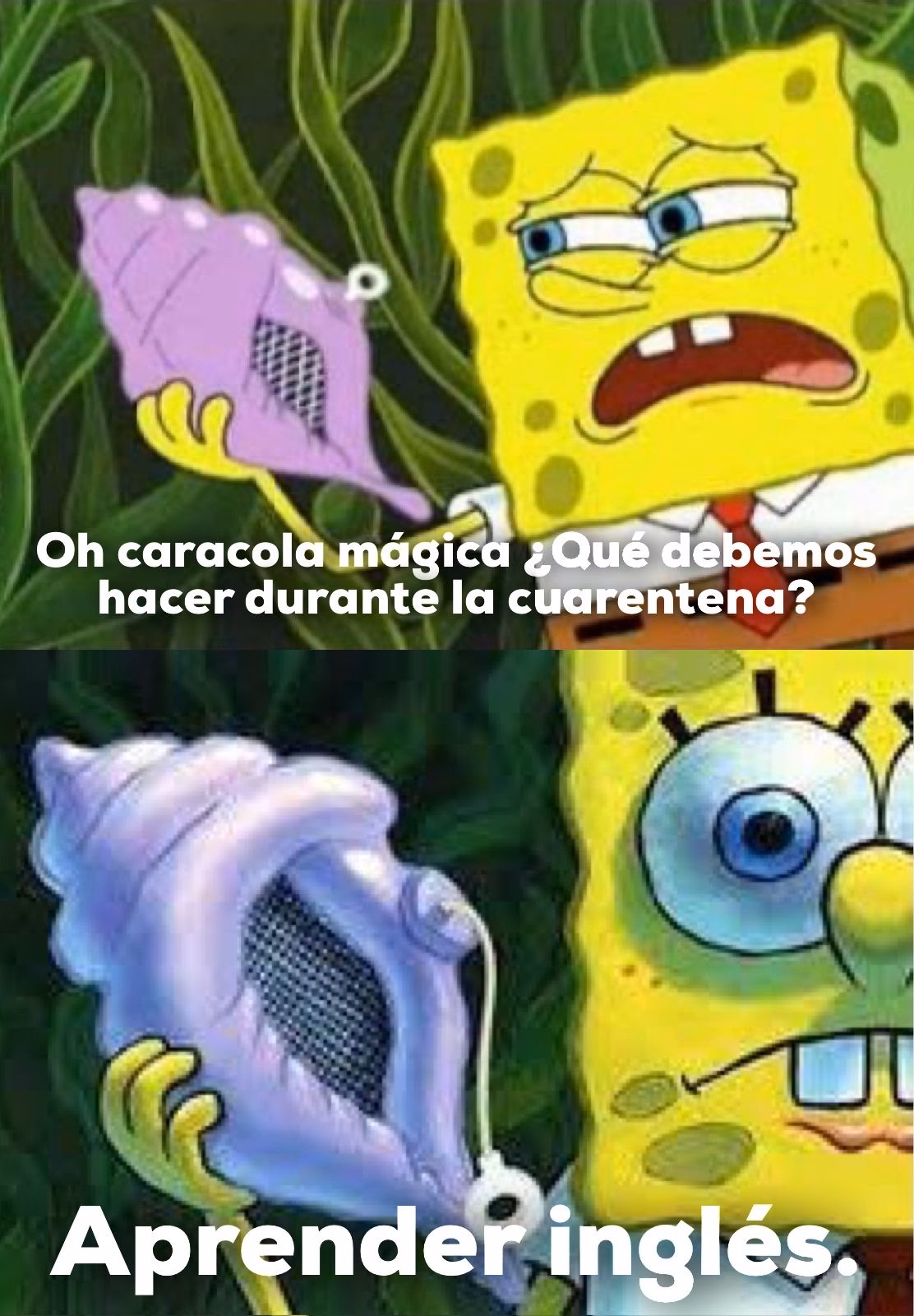 ¿Cómo ver la magia en Caracol?
