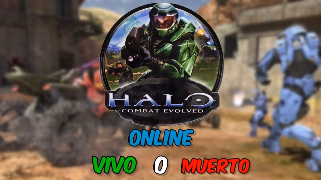 How much does it cost to use a Halo server?