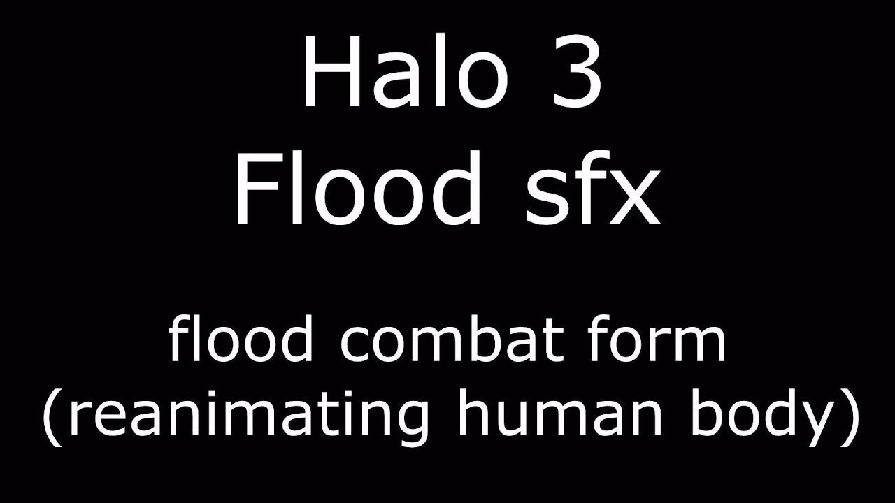 Is there a Flood in Halo?