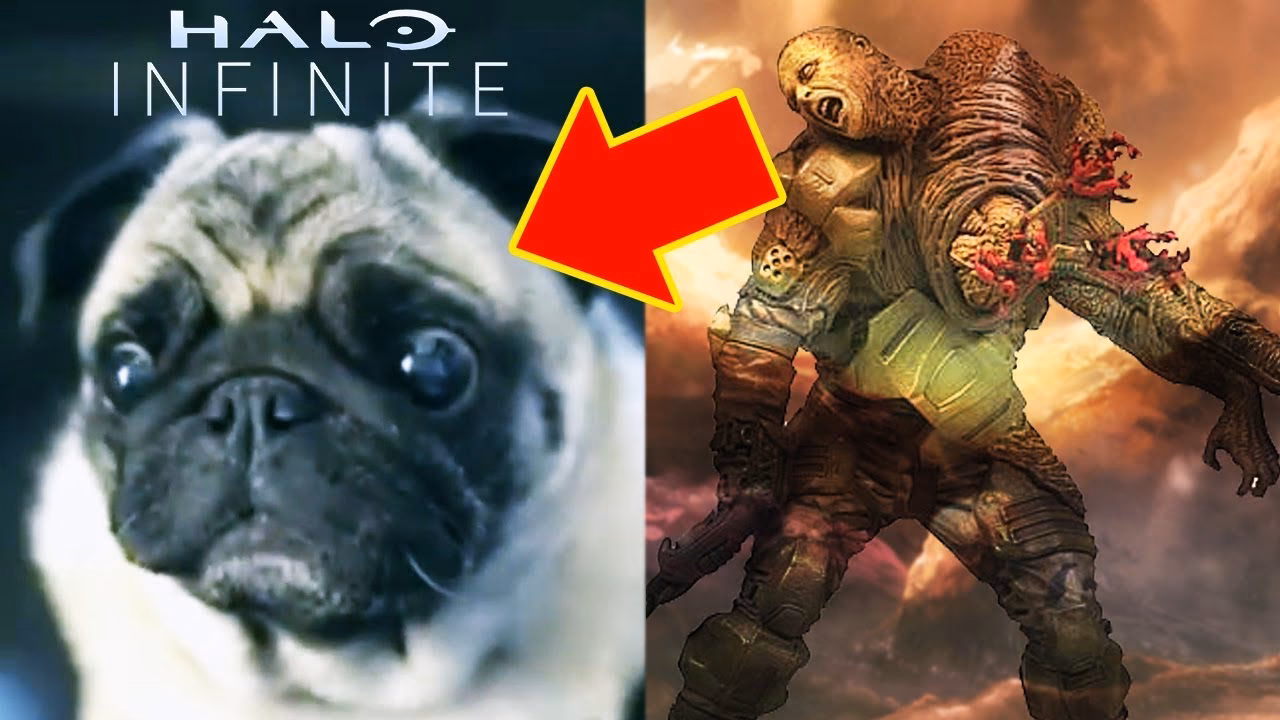 Where can I listen to Halo flood sounds?