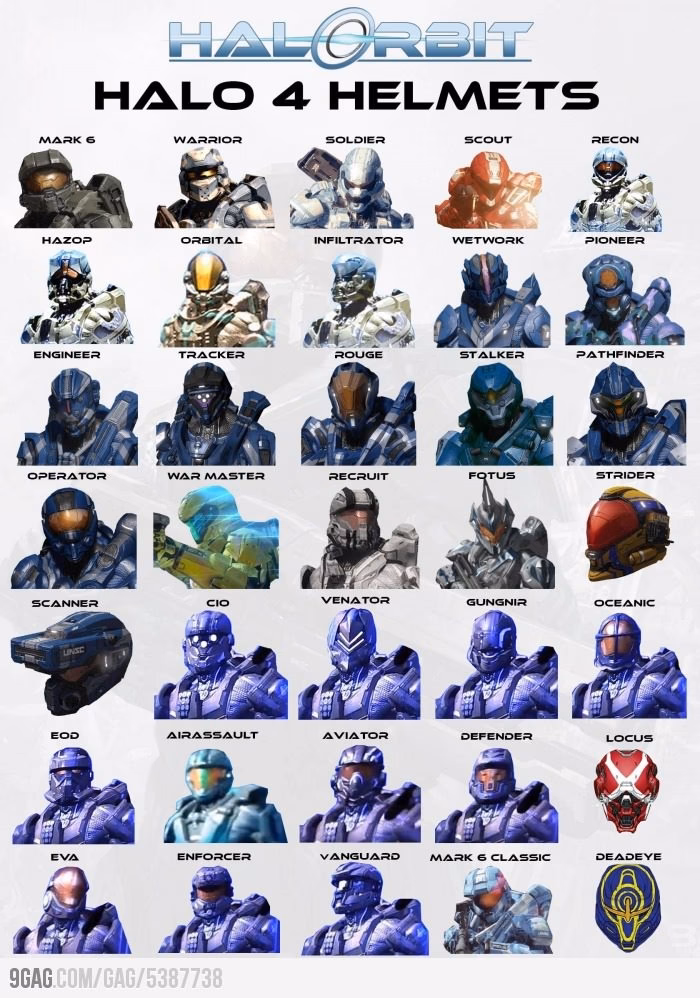 How many alien races are there in Halo?