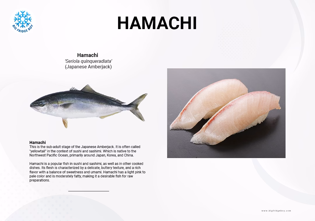 What is a Hamachi network?