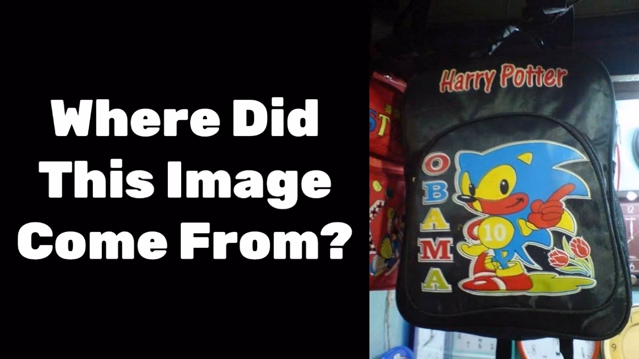 What is the Harry Potter Obama Sonic 10 Inu?