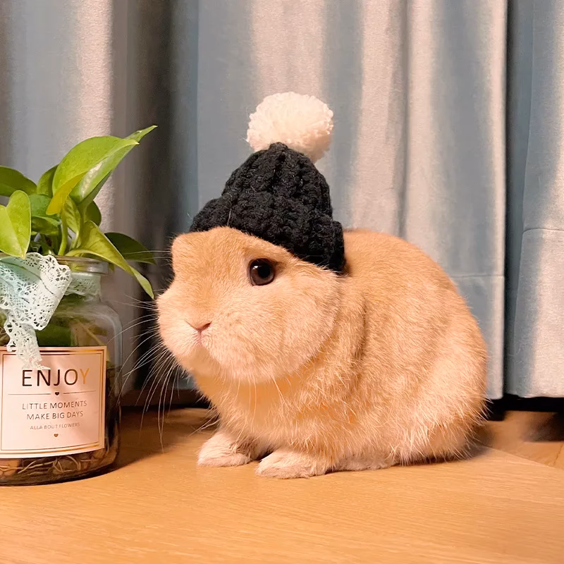 What is a Bunny Hat?