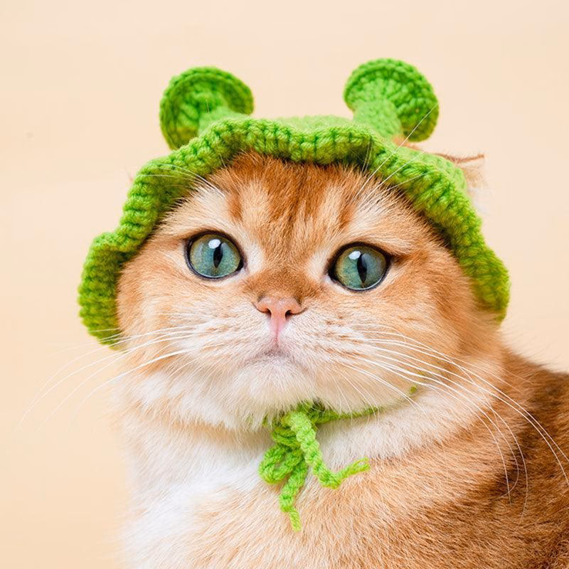 What activities can kids do with a Cat in the Hat?