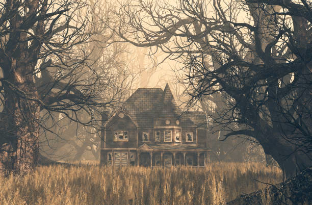 How many haunted house videos are available?