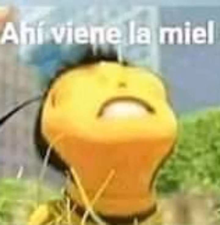 ¿Cómo cuidar la miel?