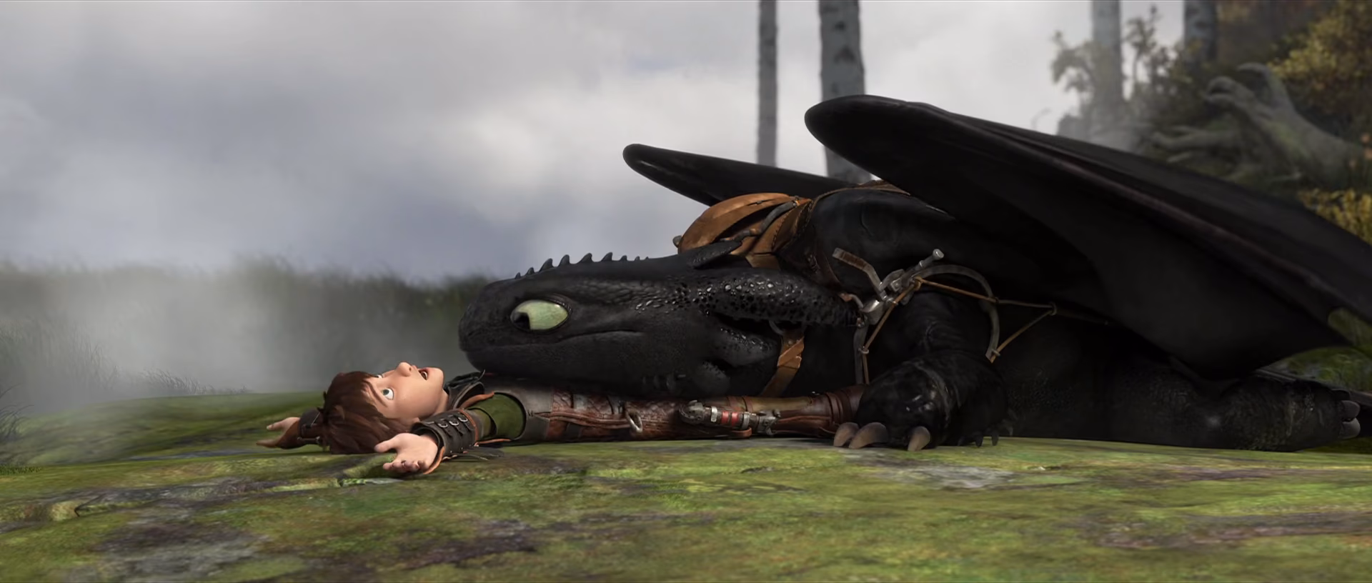 What happens at the end of Toothless & Hiccup?
