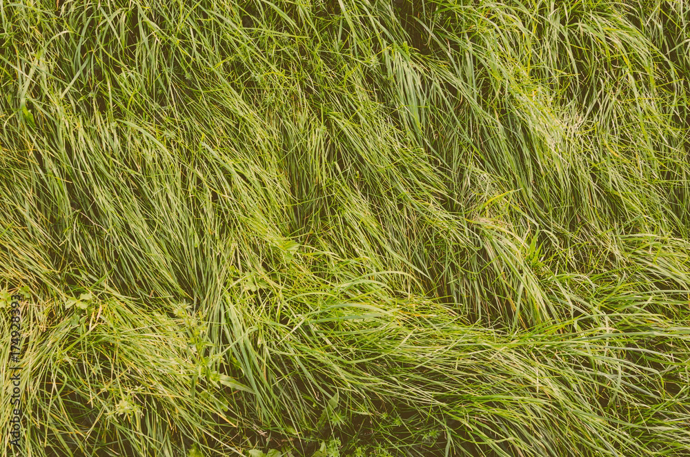 Why should you use grass textures HD?