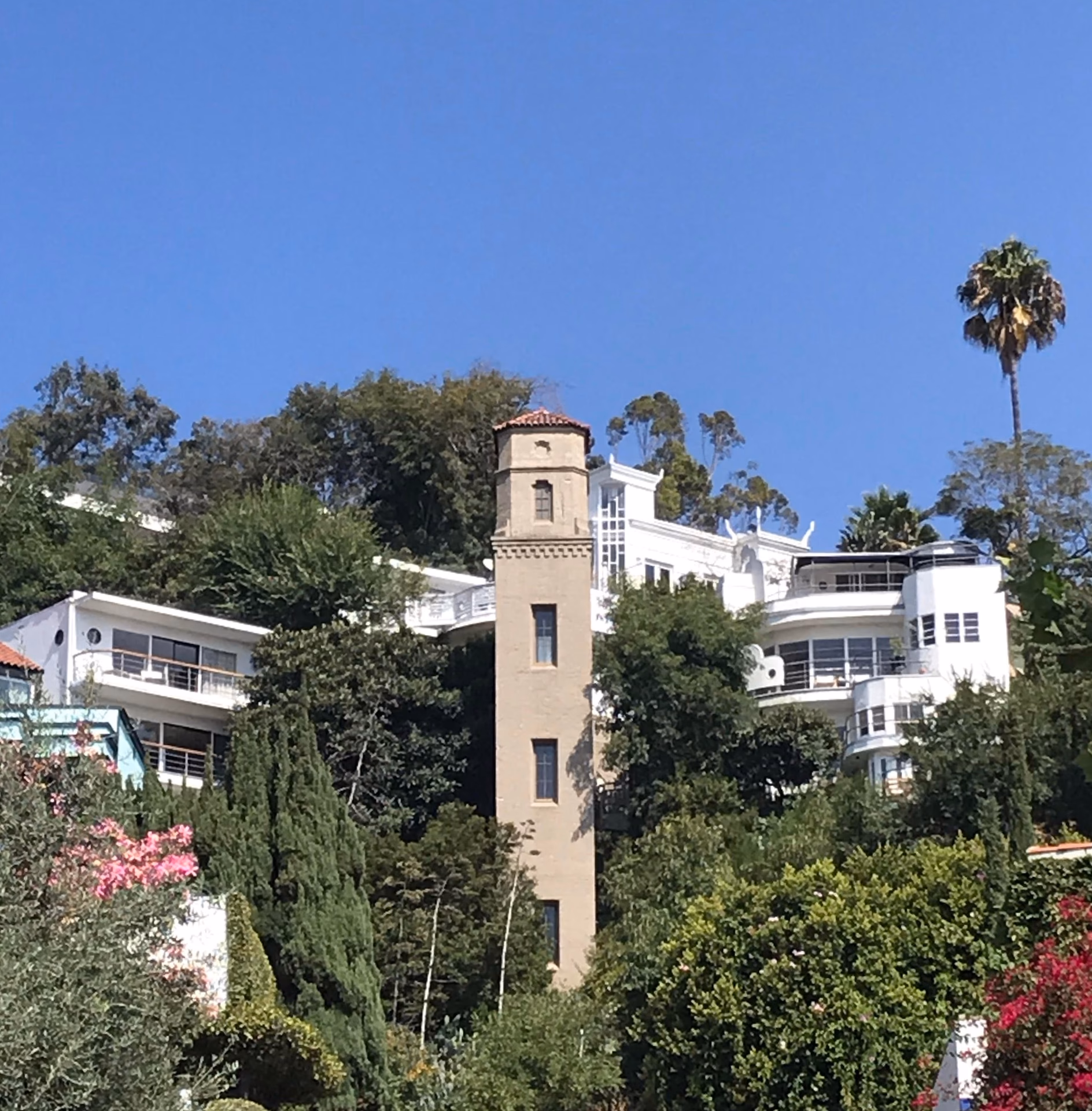 ¿Cuál es el lema de la Casa Hightower?