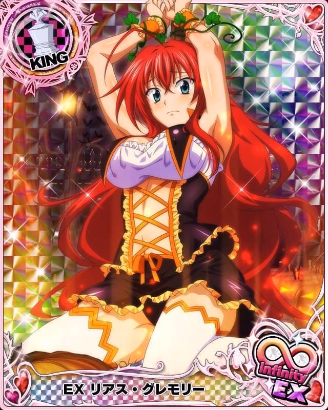 What is High School DxD?