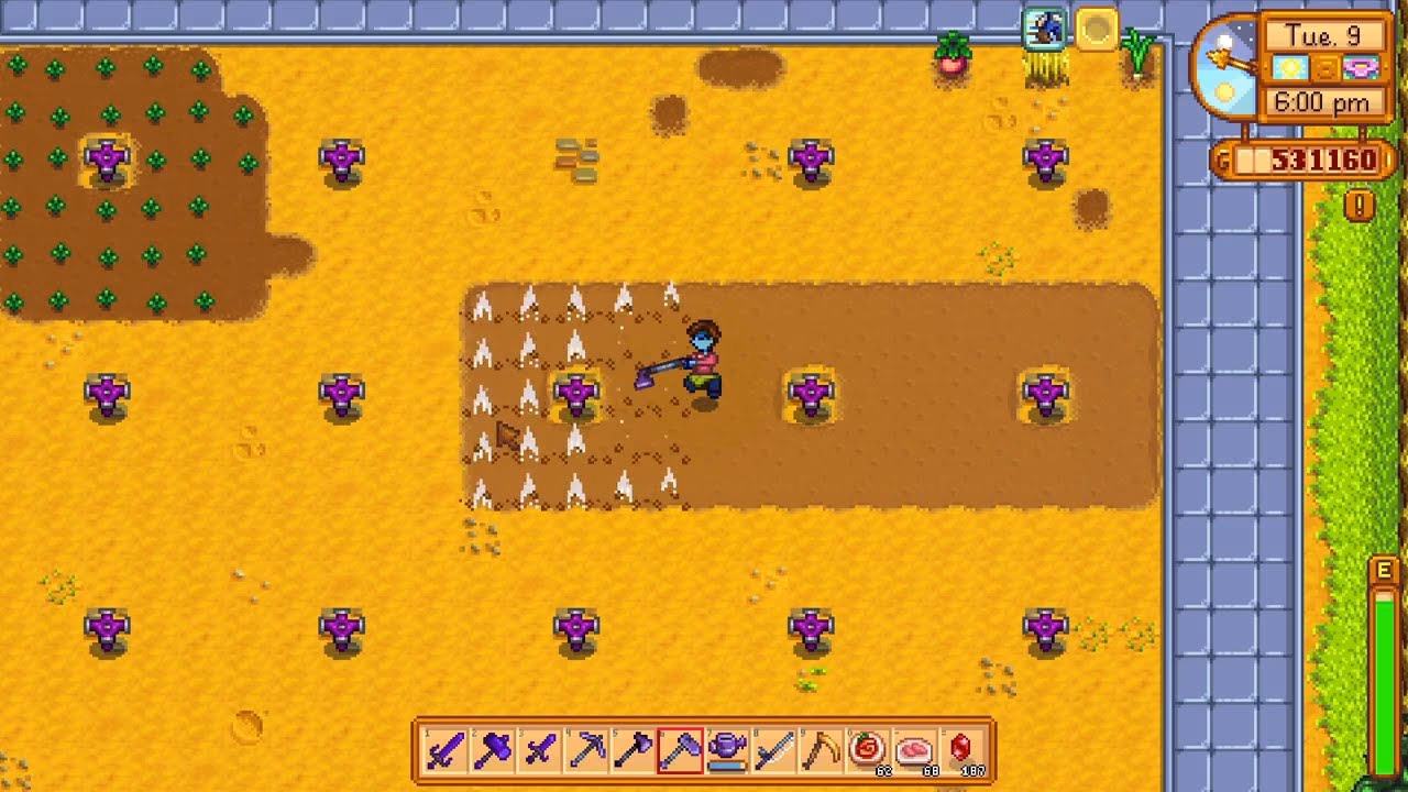 Can You till sand In Stardew Valley?