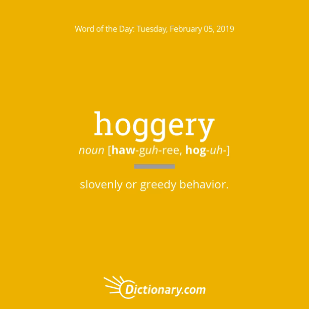 What does hoggery mean?