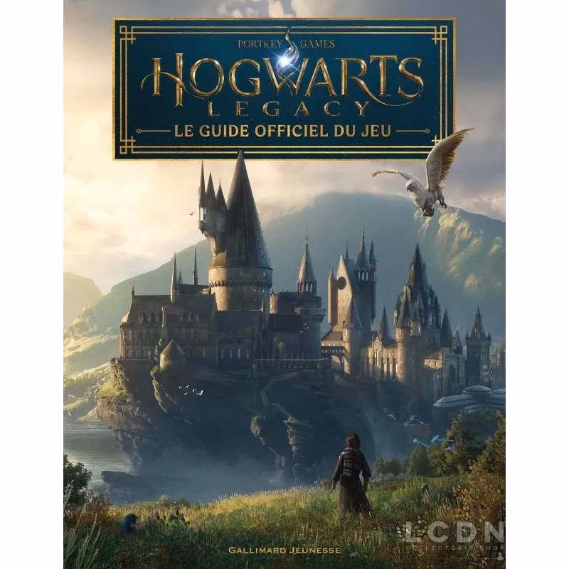 Qu'est-ce que Hogwarts ?