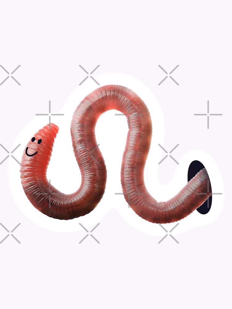 Can we find wormholes?