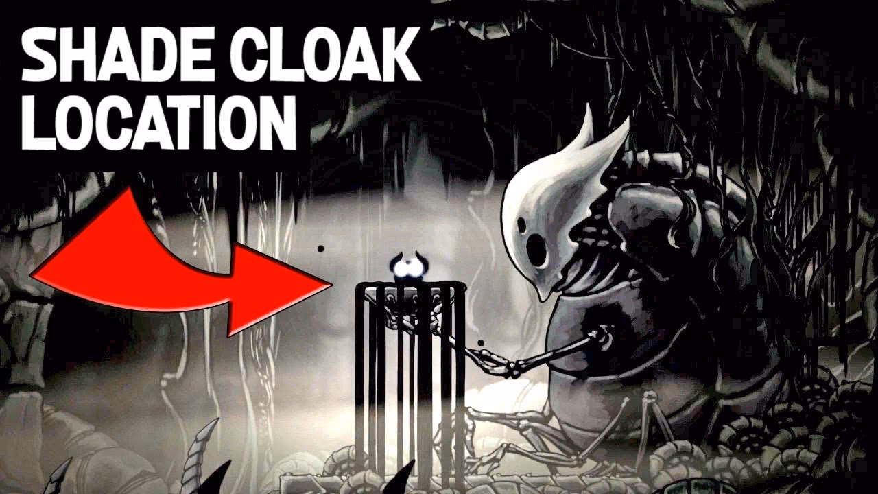 What does a Mothwing cloak do?
