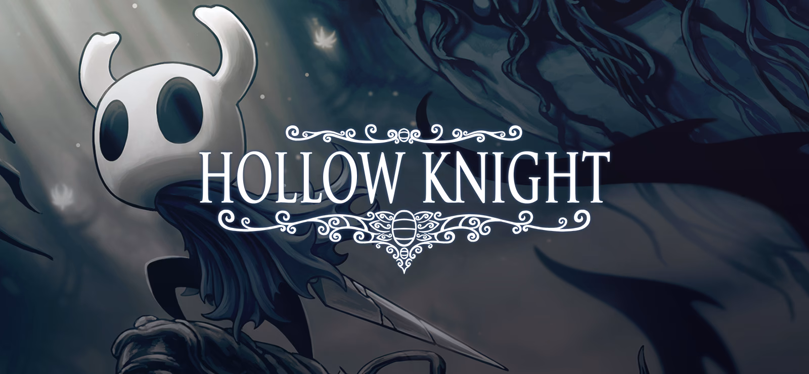 Is Hollow Knight a 2D game?