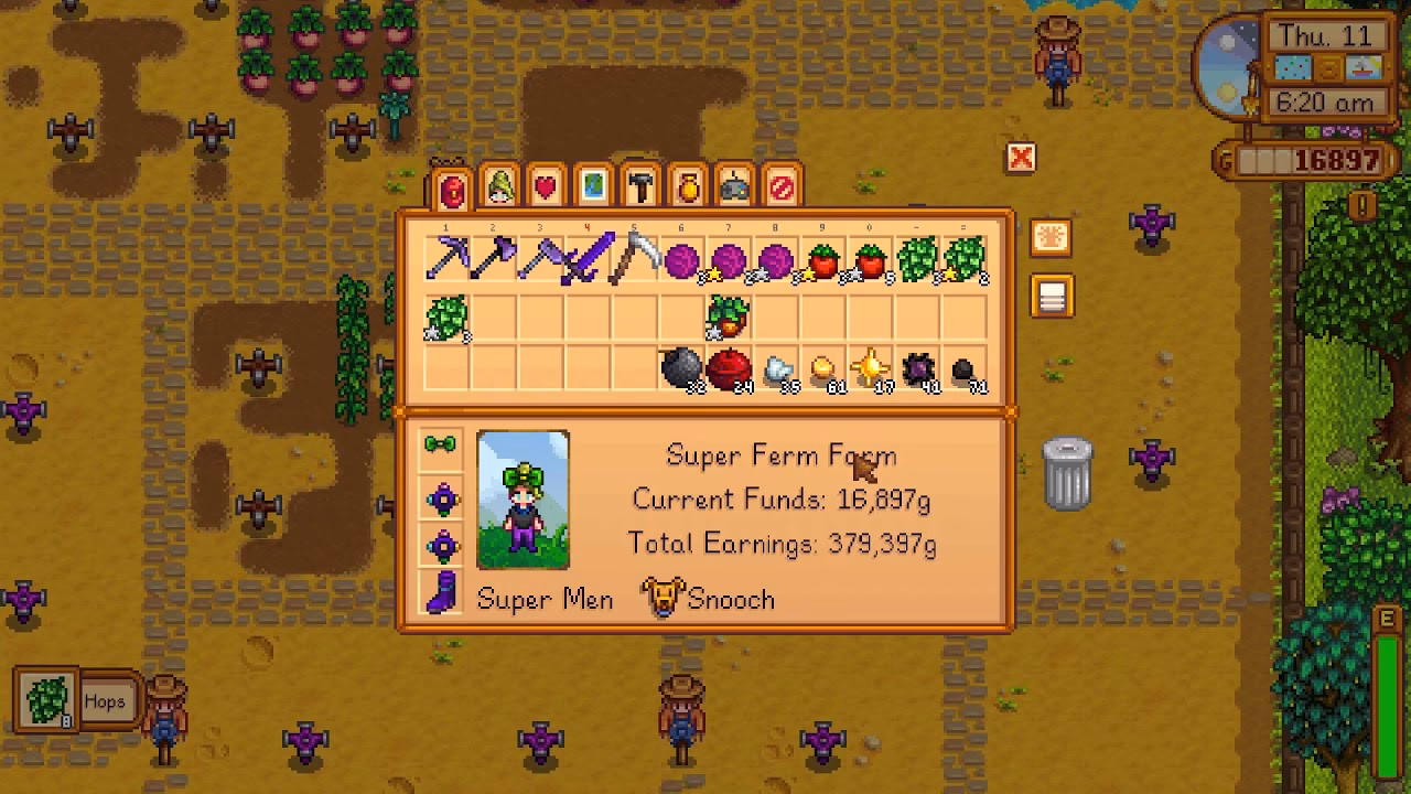 How do you get a Stardrop In Stardew Valley?