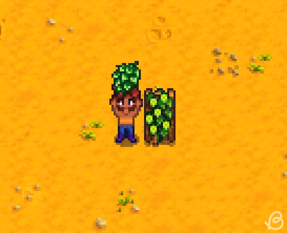 How long does it take to grow hops in Stardew Valley?