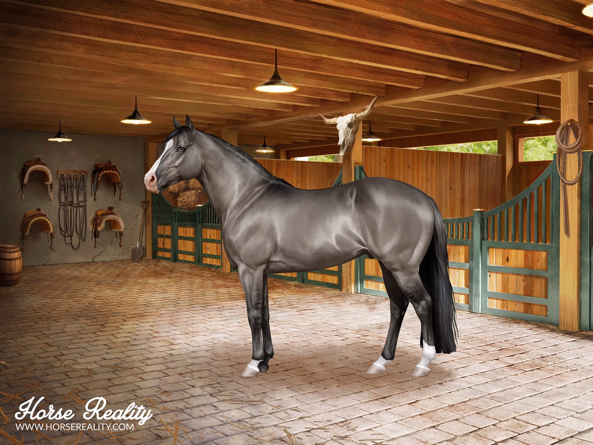 What is horse reality?