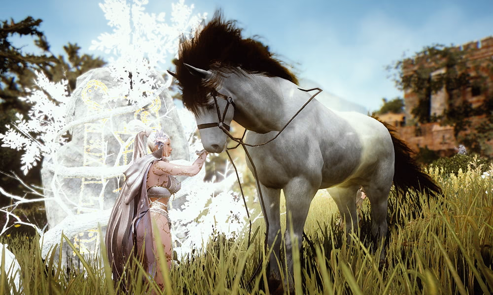 How do I level a dream horse?