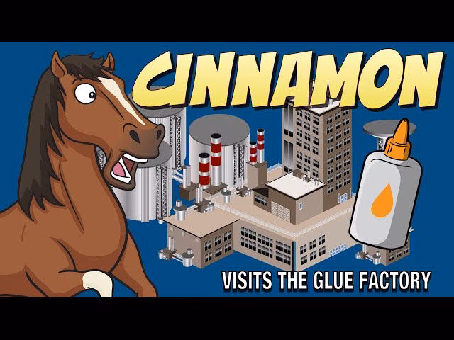 How do horses get glued?