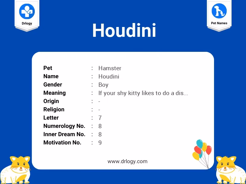 ¿Cuál es el significado de Houdini?