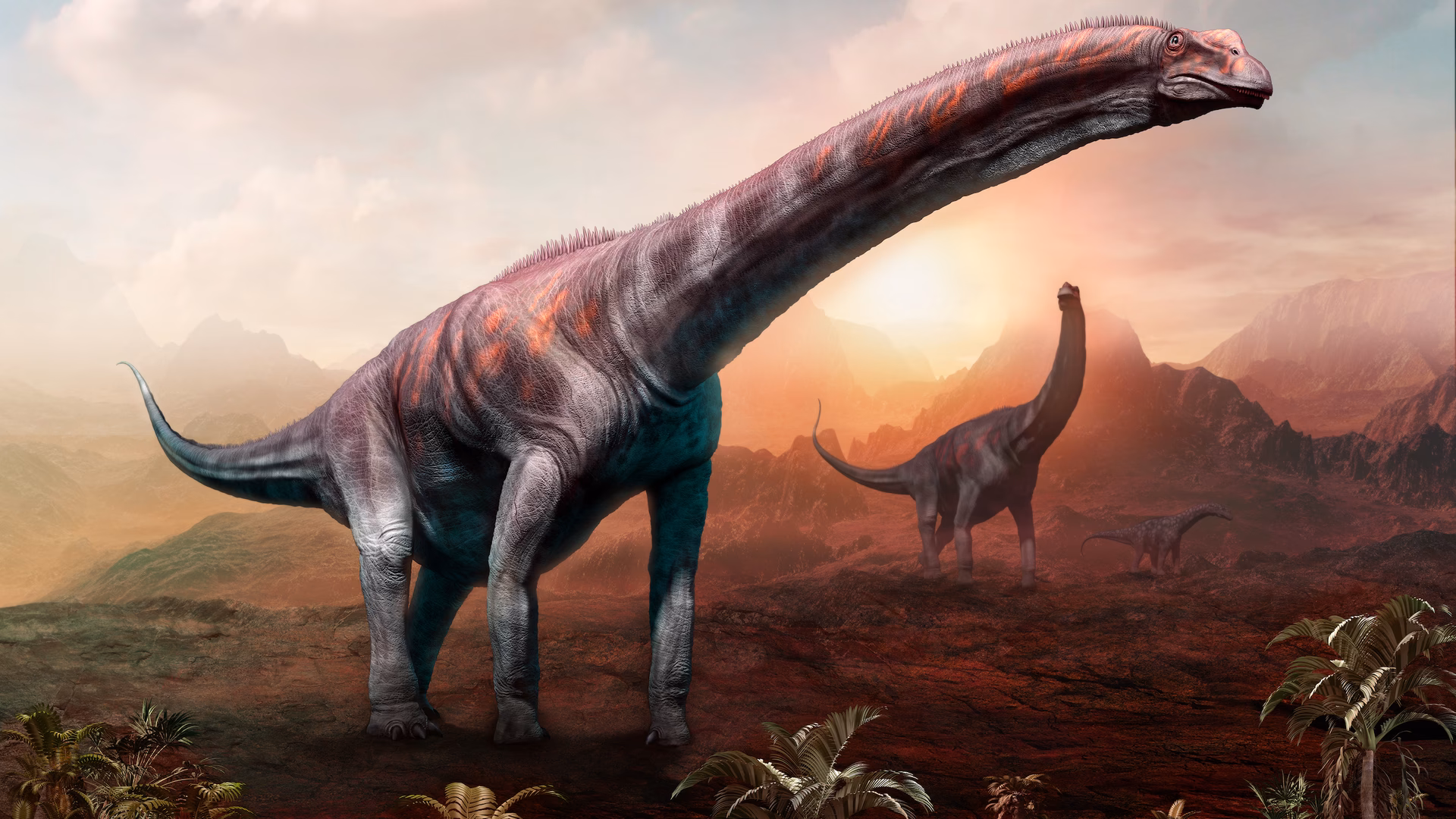 How much weight can a land animal hold?