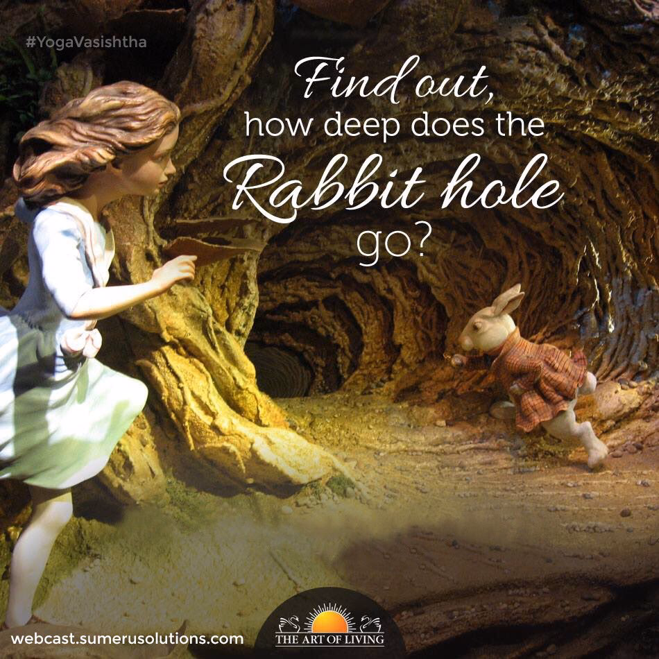 How deep can a rabbit dig?