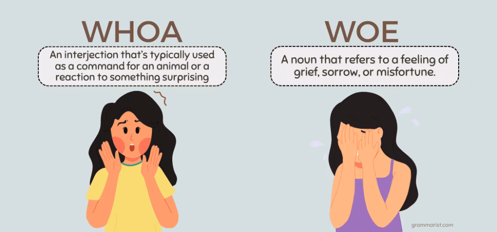 What does the word 'whoa' mean?