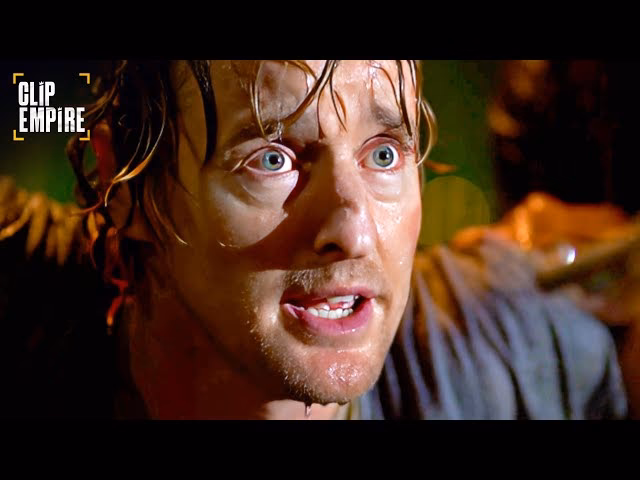 Why is no escape a good movie?