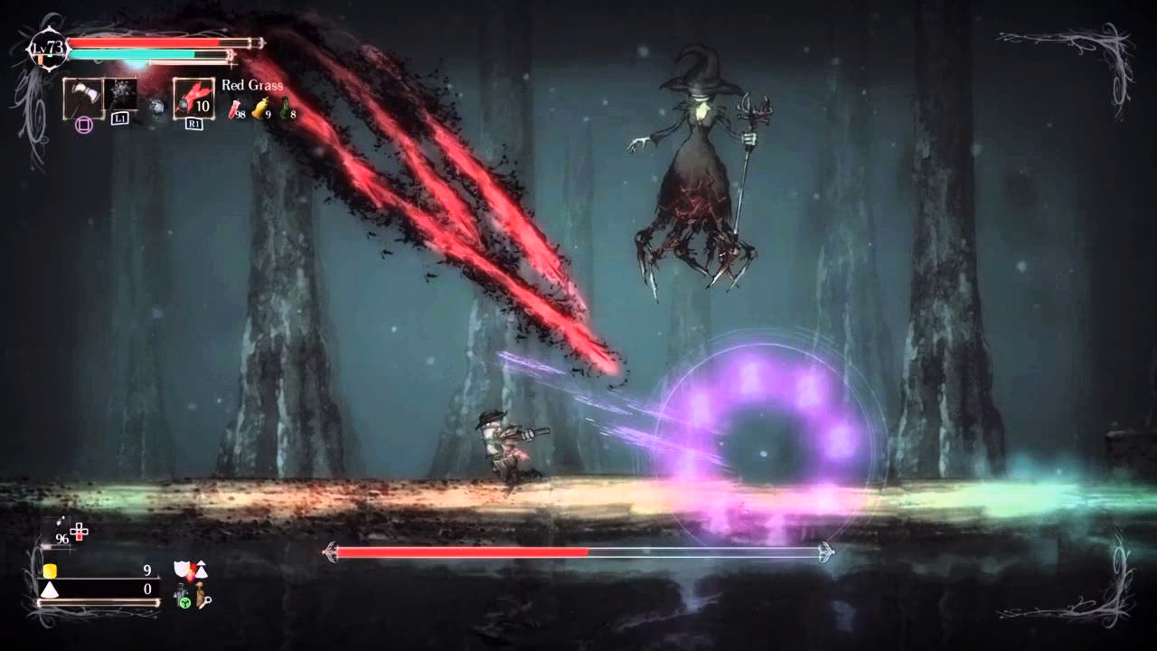 How long does it take to beat salt and sanctuary?
