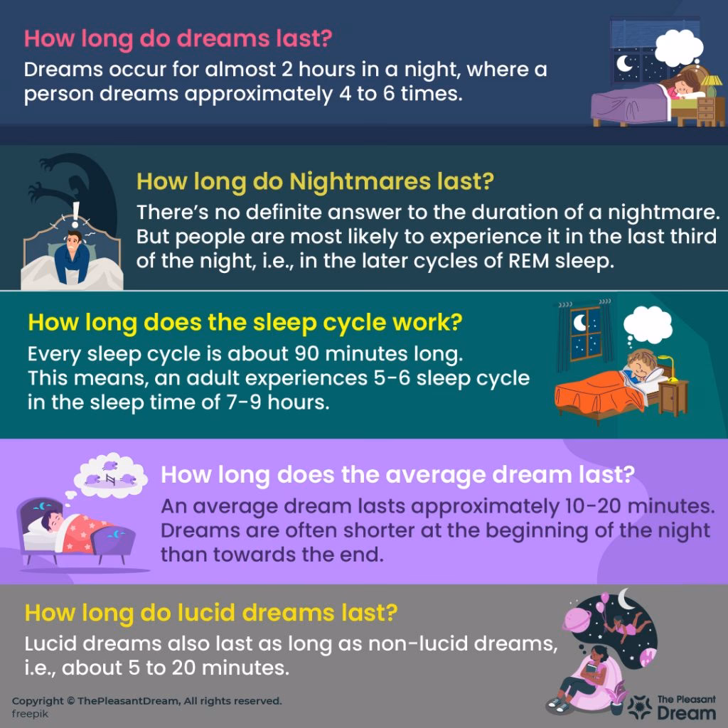 How many times do you Dream a day?