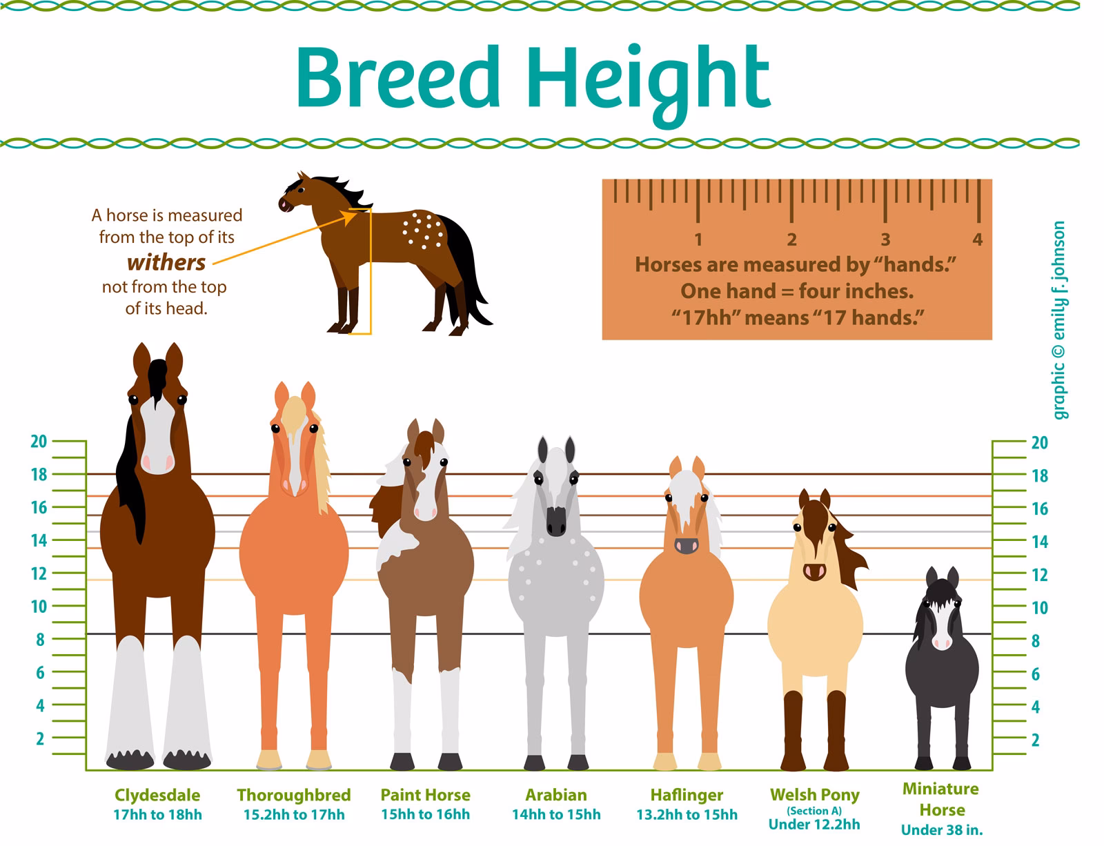 How tall is a horse?