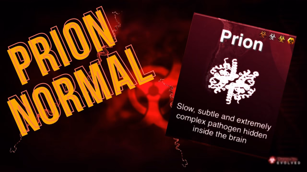 What are the strategies for the prion plague type?